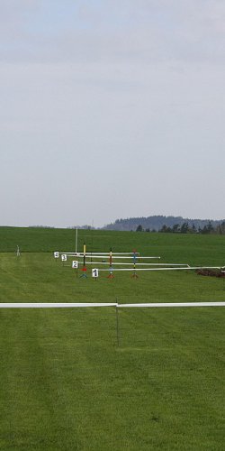 2013 Svojek Mirek Topinka